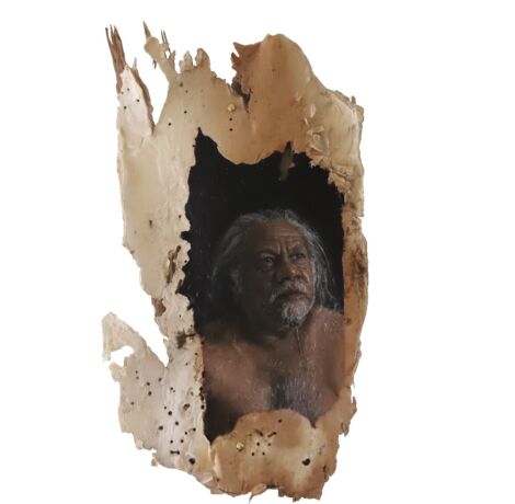 The Lester Prize for Portraiture - The Lester Prize